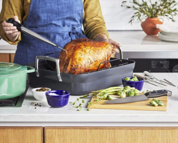 Motion Hard Anodized Roaster Pan