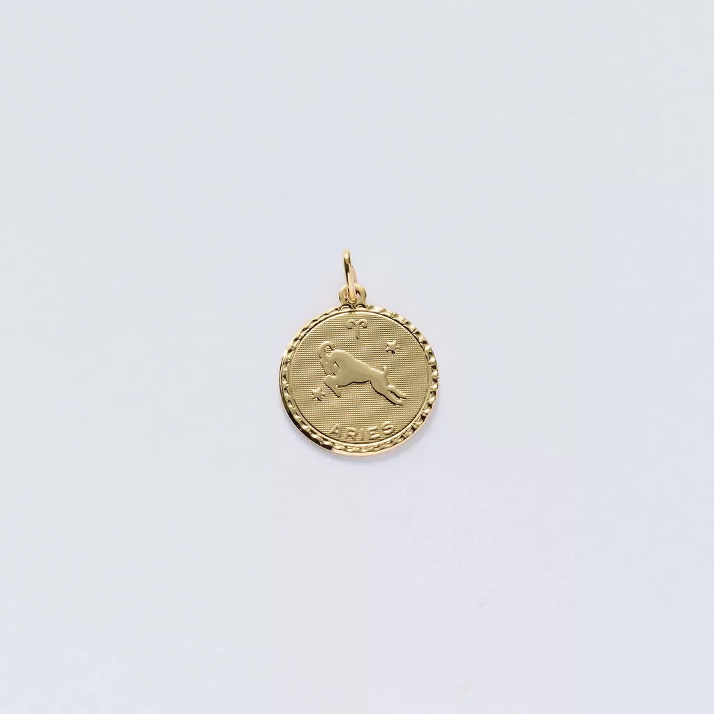 Zodiac Charms