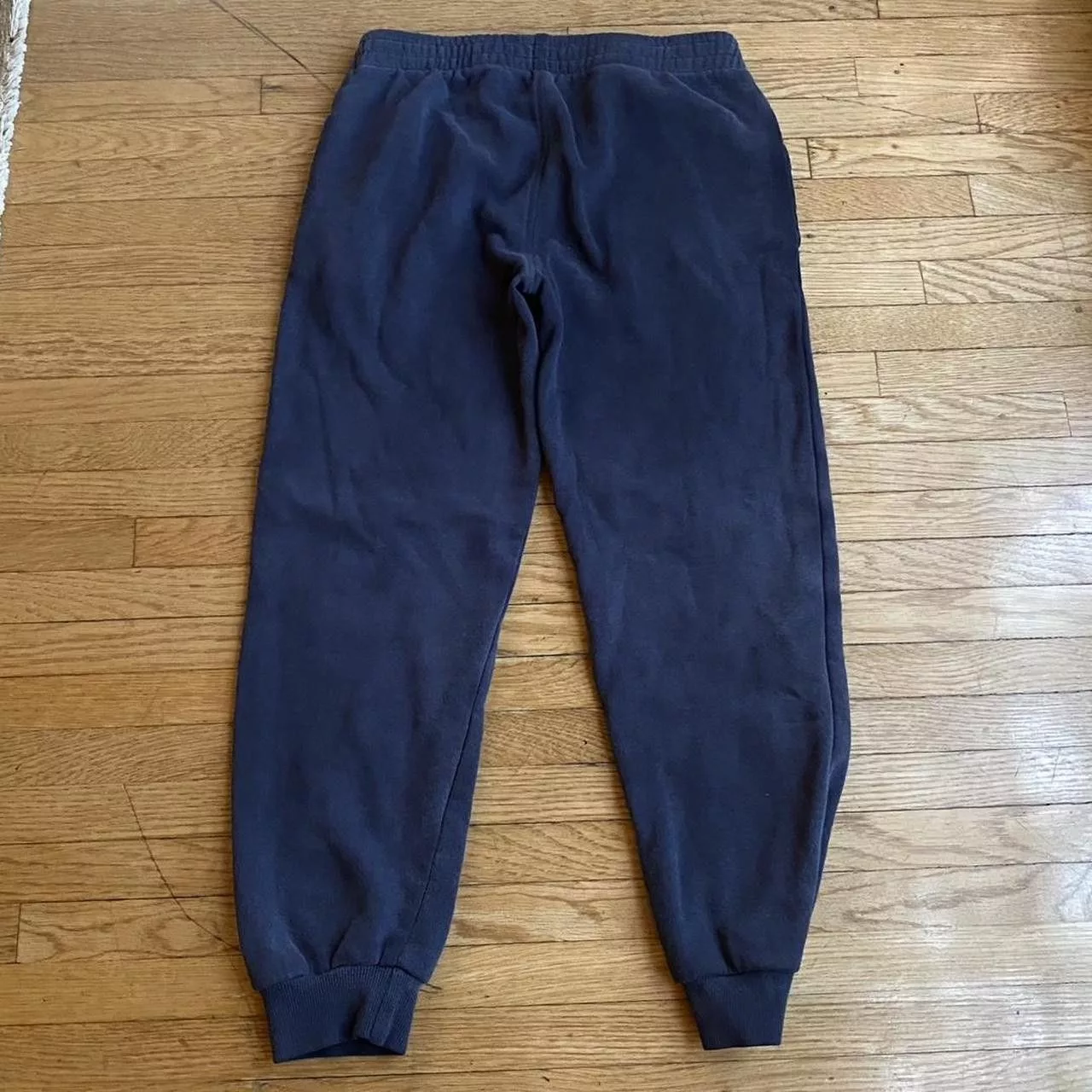 Champion sweatpants Blue