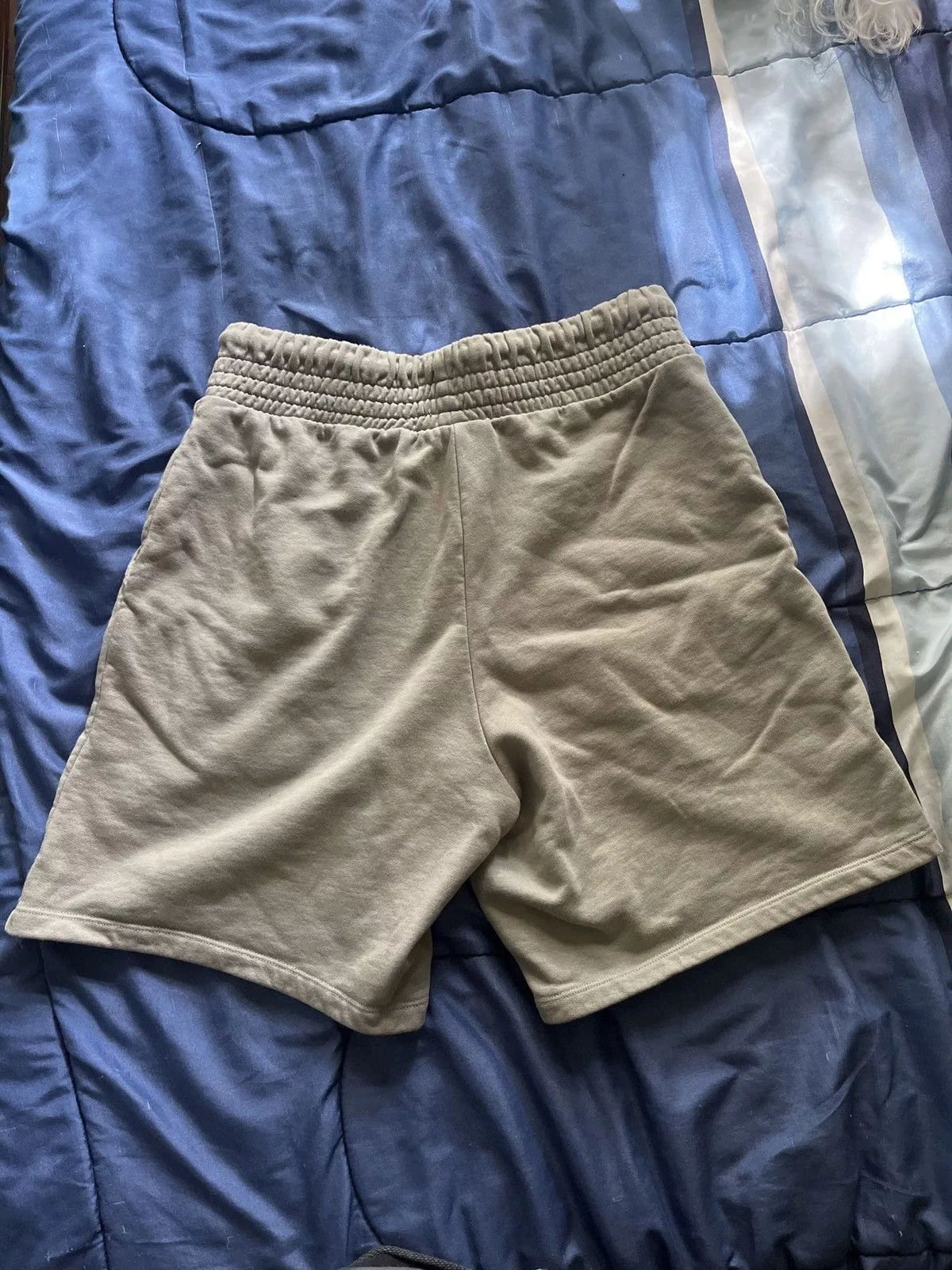 Asos Shorts ASOS Grey Sweatshorts Gray