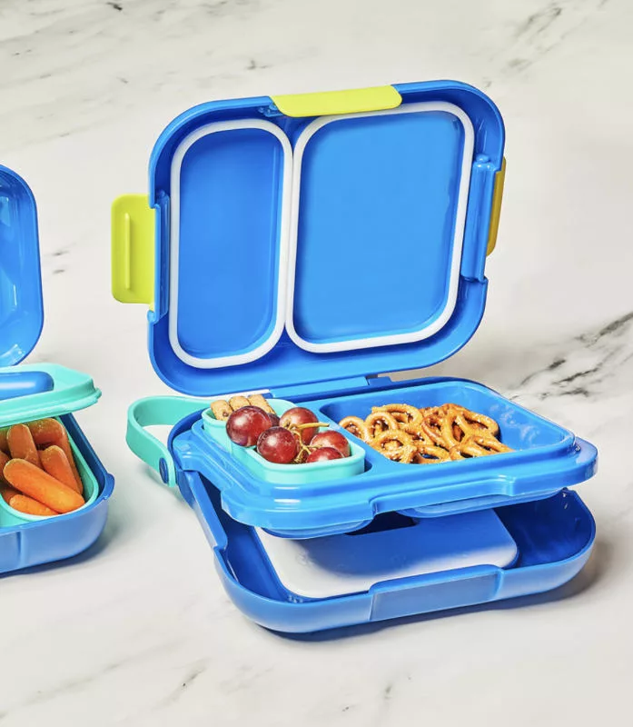 Blue Neat Bento Box