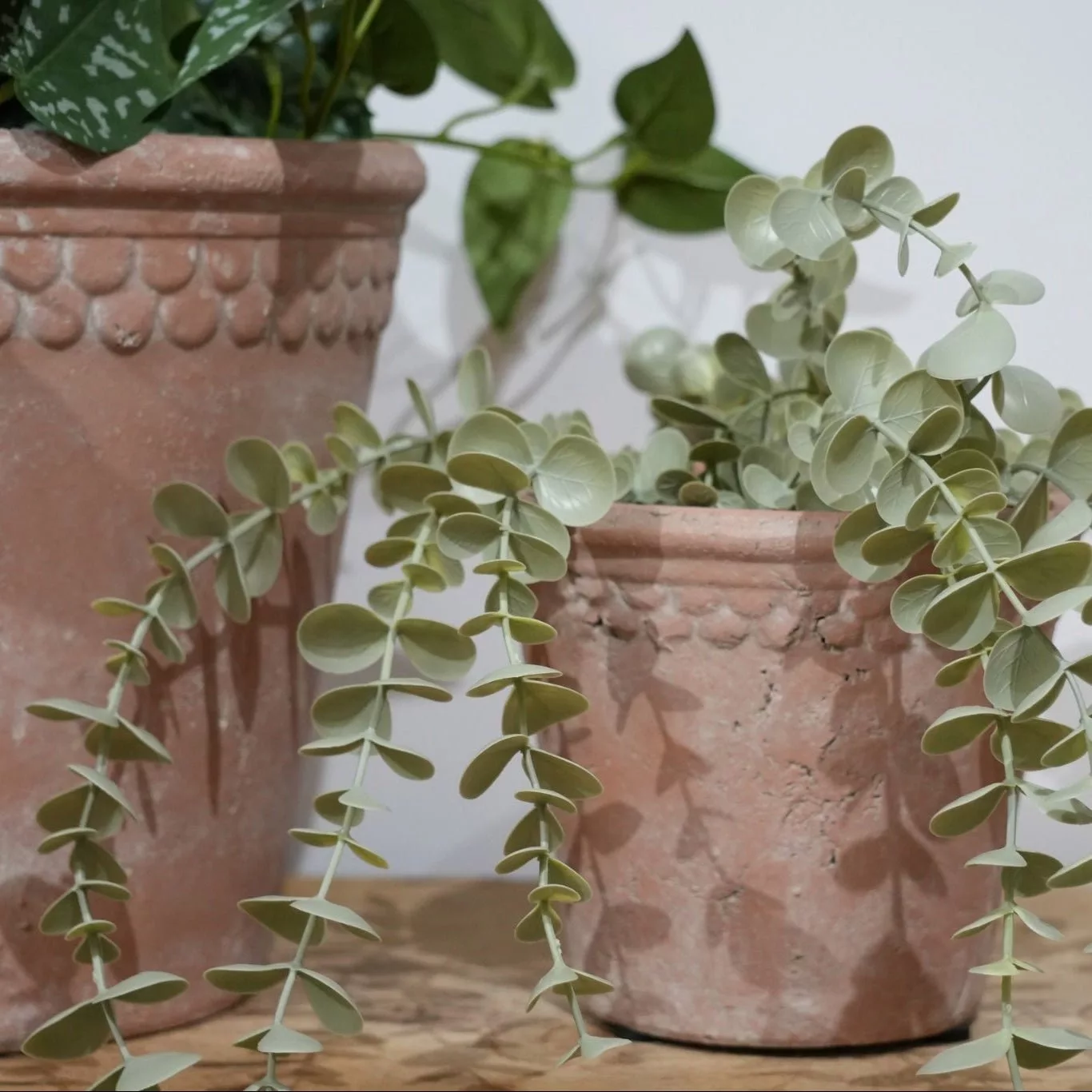 French Terracotta Planter with Scalloped Rim - Curated Home Decor