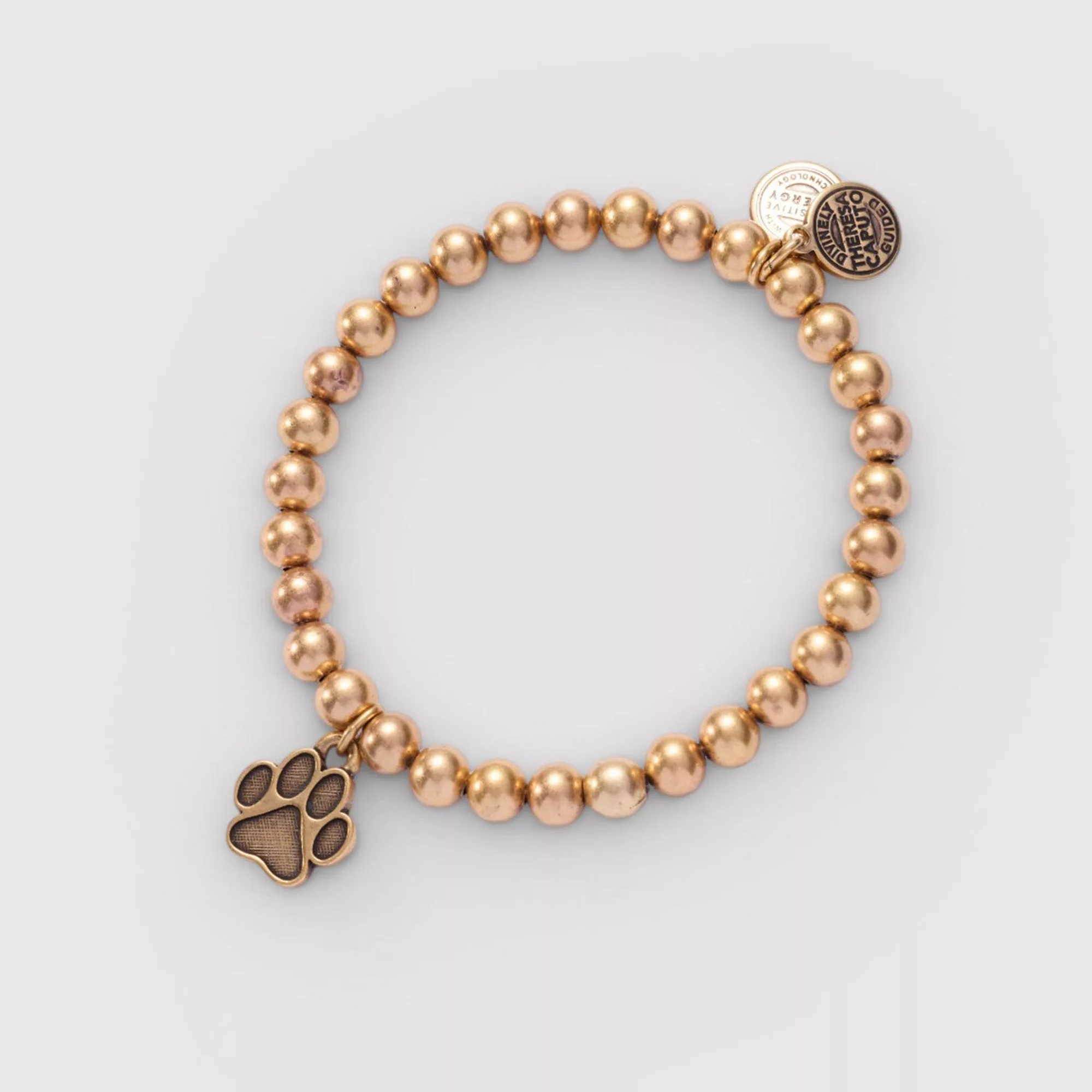 Always With You Paw Stretch Bracelet