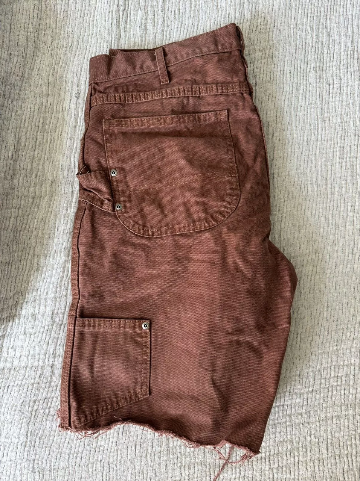 Dickies Shorts Brown