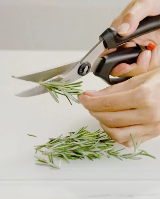 Poultry Shears