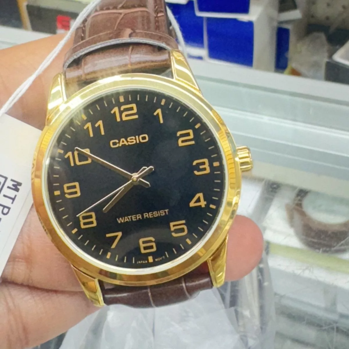 Casio Jewelry Watches Casio Watch White