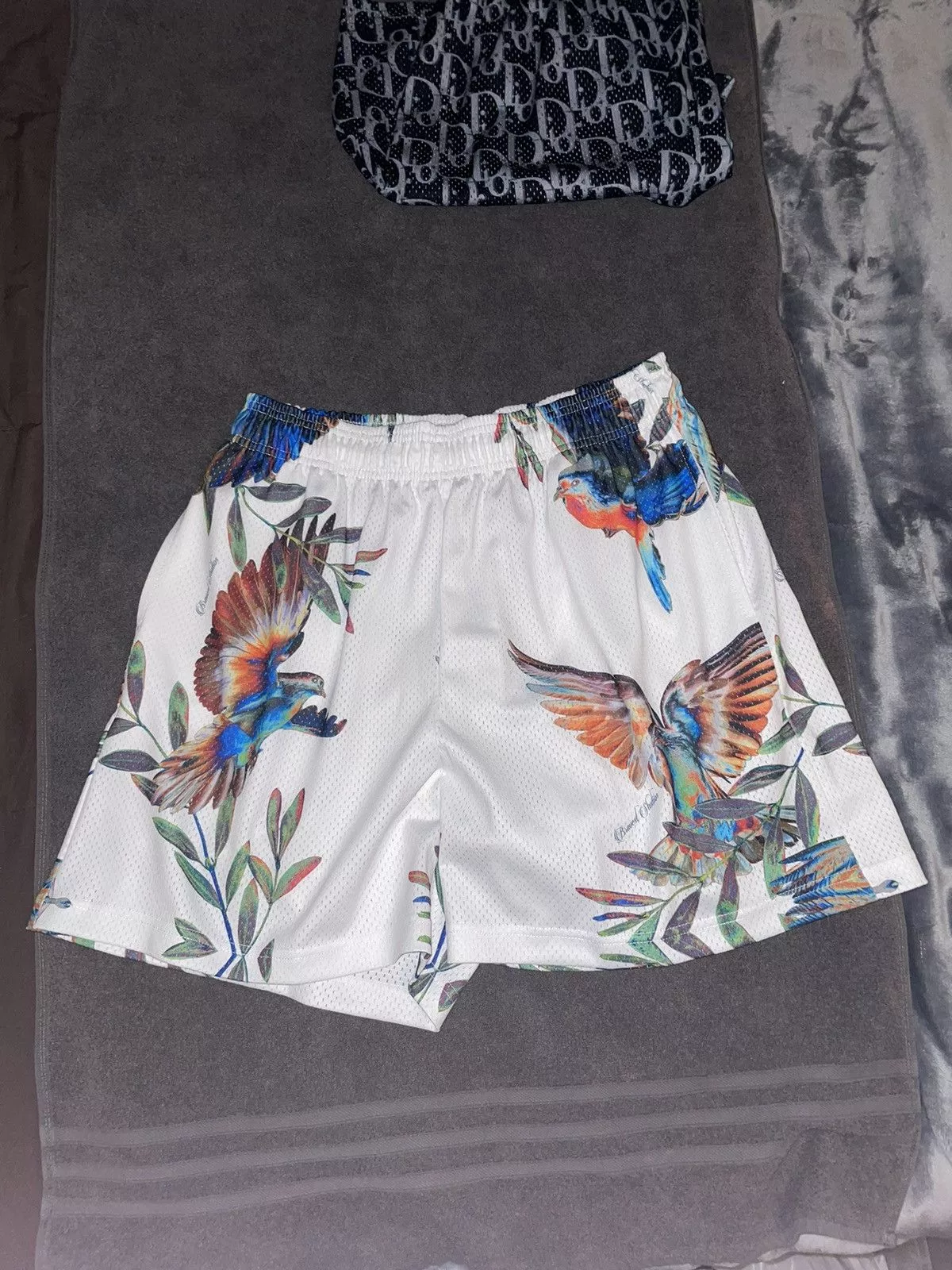 Bravest Studios Shorts Bravest Studios Paradise shorts Multi