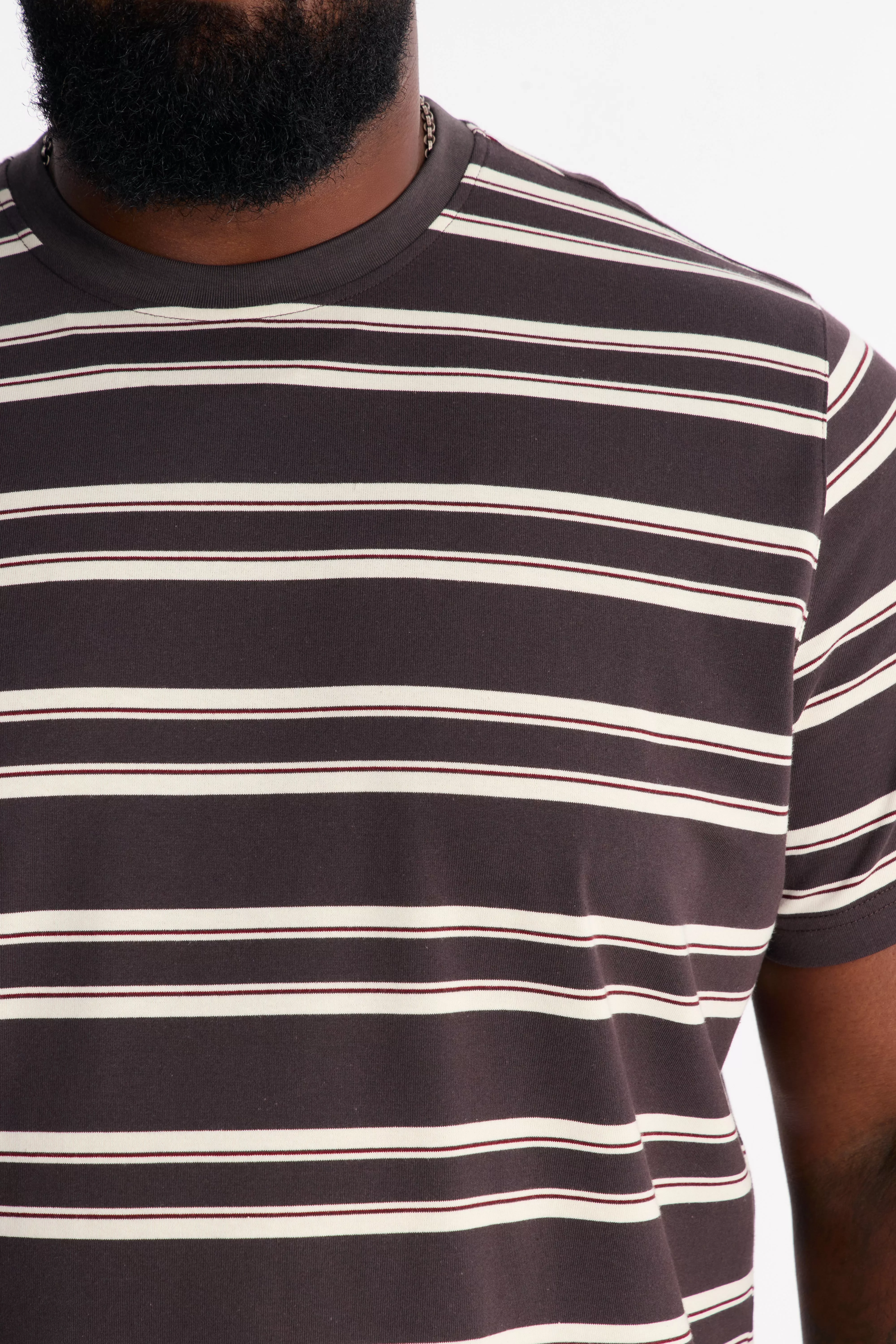 Casey Stripe Crewneck Tee - Brown/combo