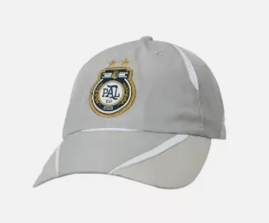 Palace Hats Palace Pro Shell 6-Panel Grey FW23 Gray