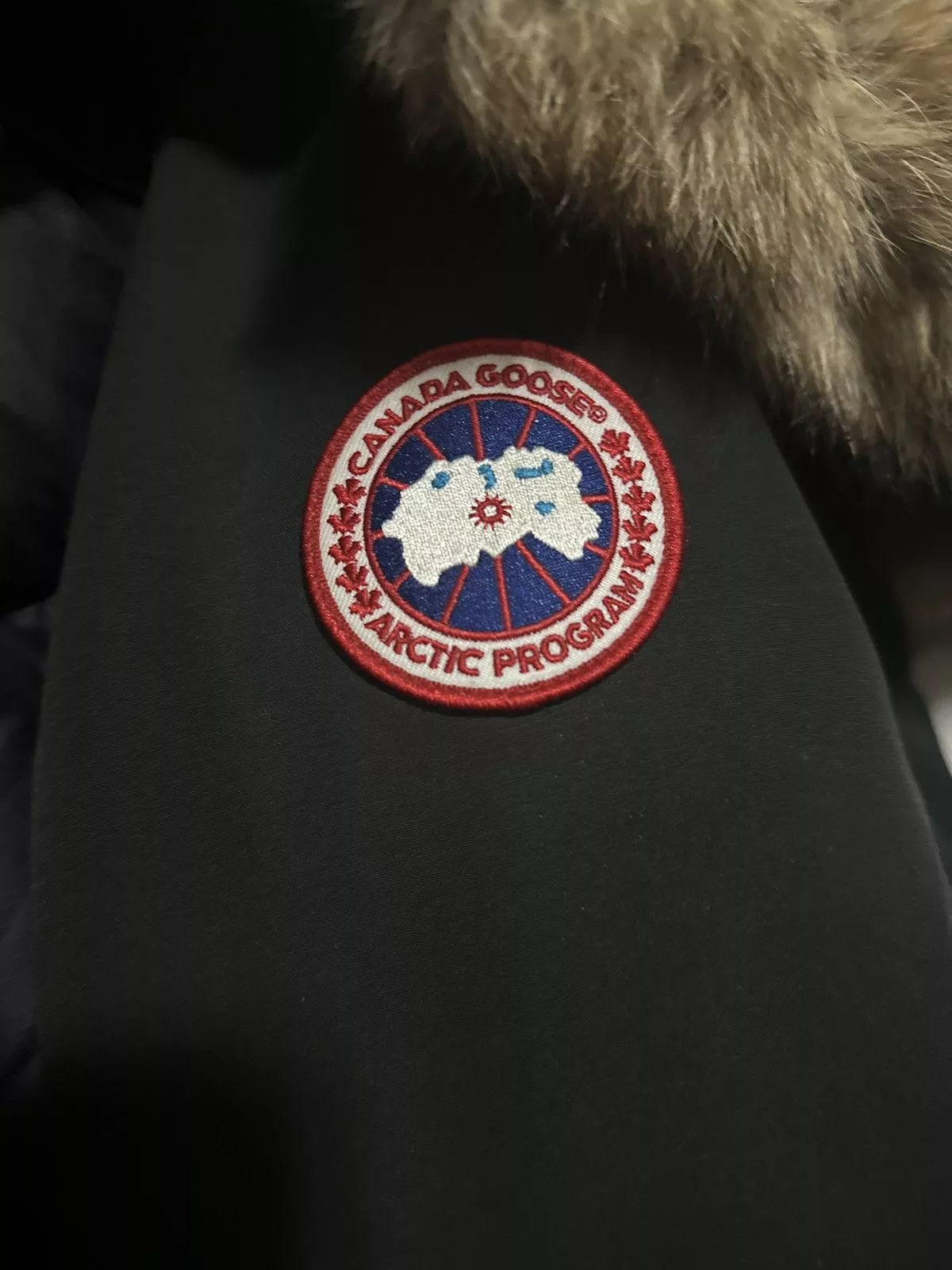 Canada Goose Heavy Coats Canada goose Langford parka heritage Black