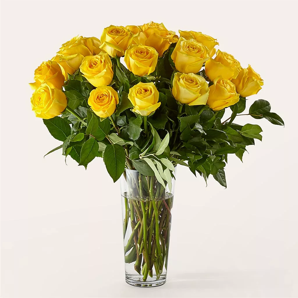 Long Stem Yellow Rose Bouquet