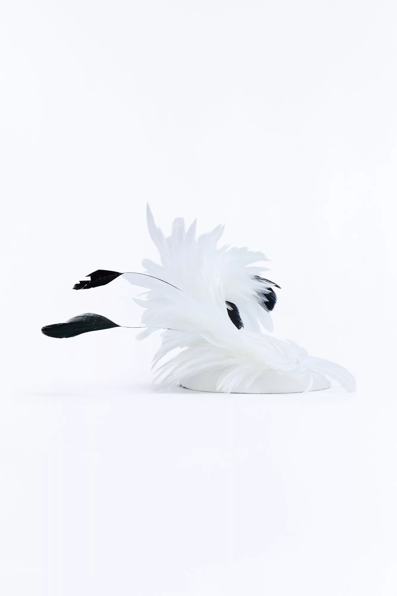 Main Act Fascinator - White