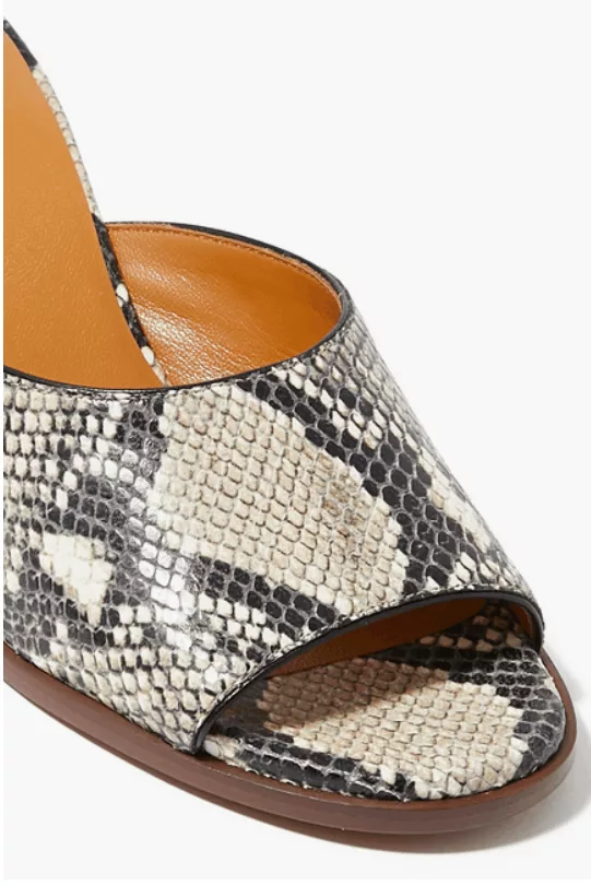 Chloe Mules Chloe o1loc1c0624 CHC23 Oli Mules in Multicolor