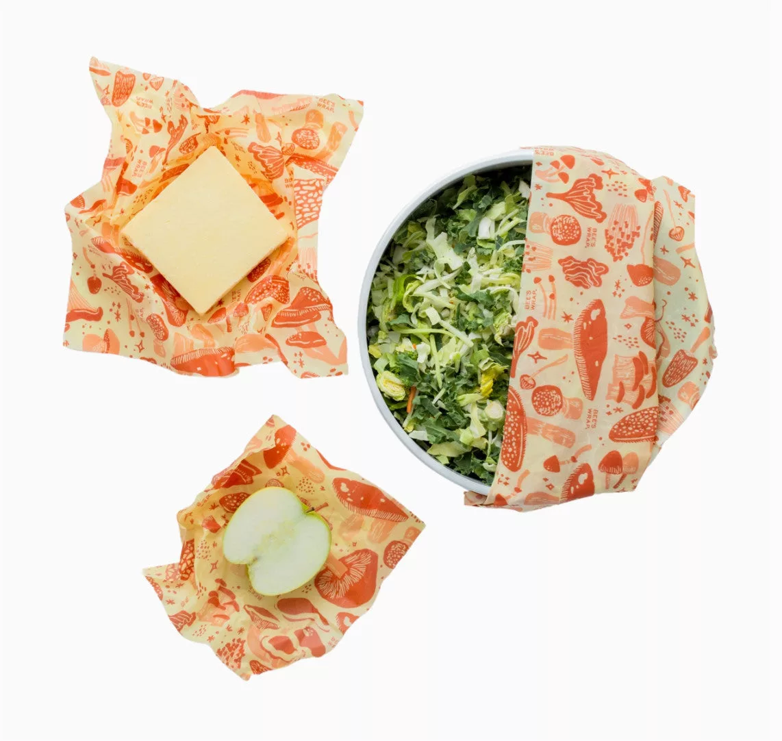 Mushroom Magic Assorted 3 Pack