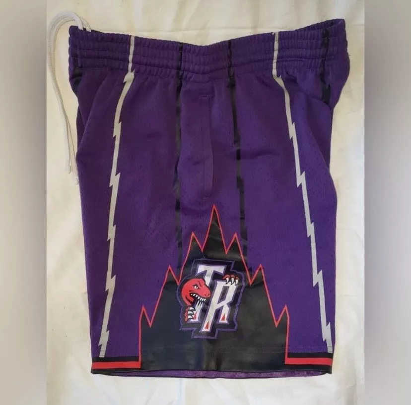 Mitchell & Ness Shorts Mitchell & Ness Toronto Raptors Shorts Purple