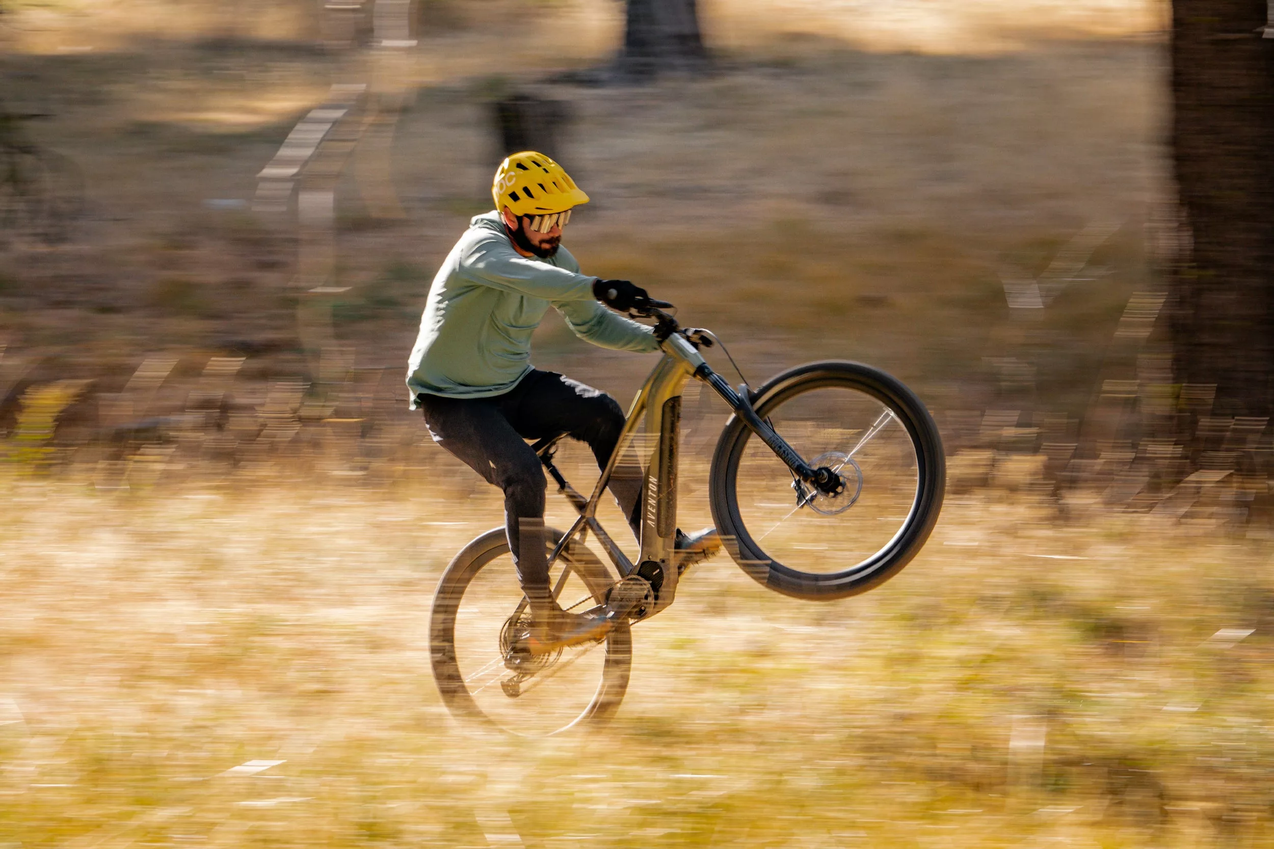 cool wheelie - common