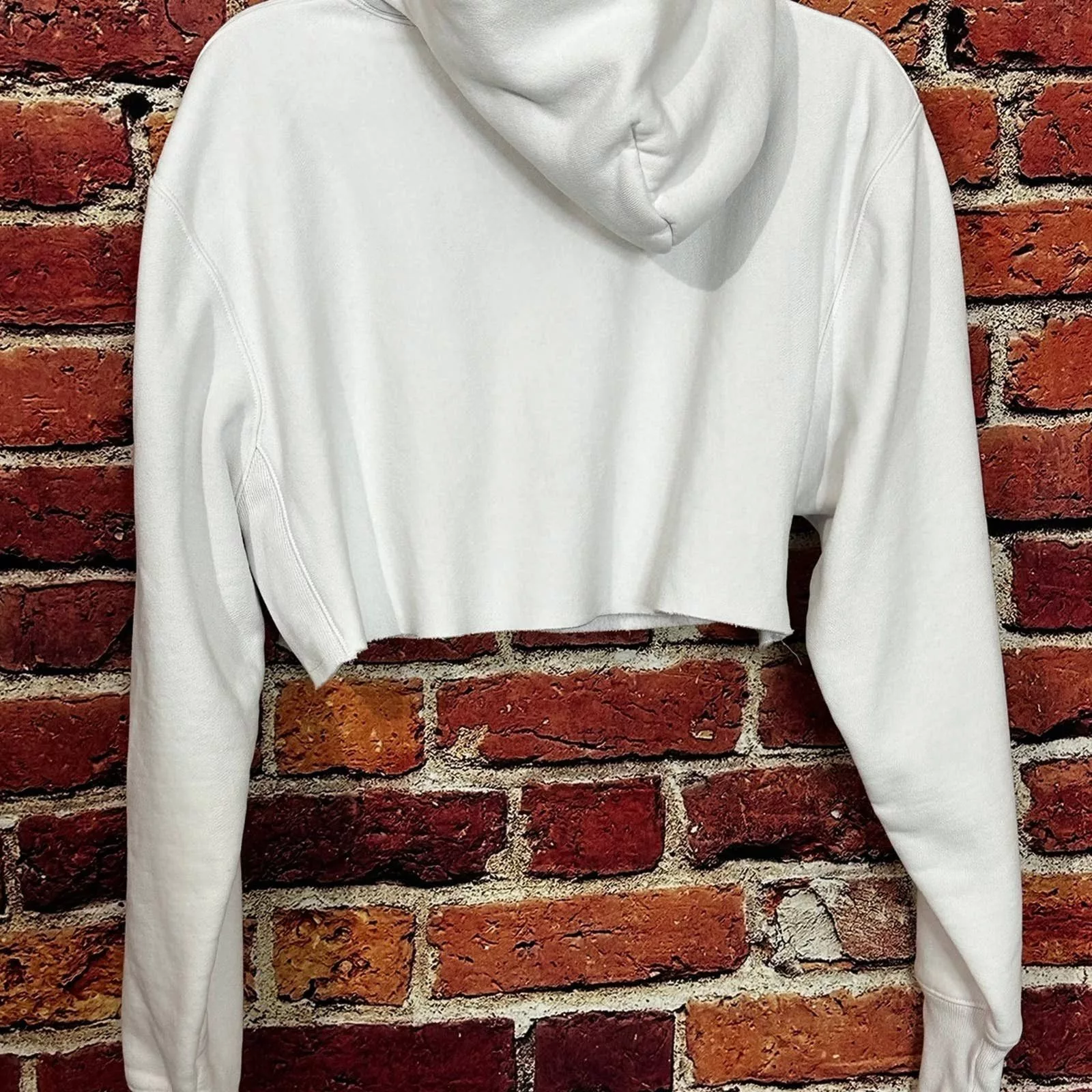 Champion Sweaters Champion Hoodie White