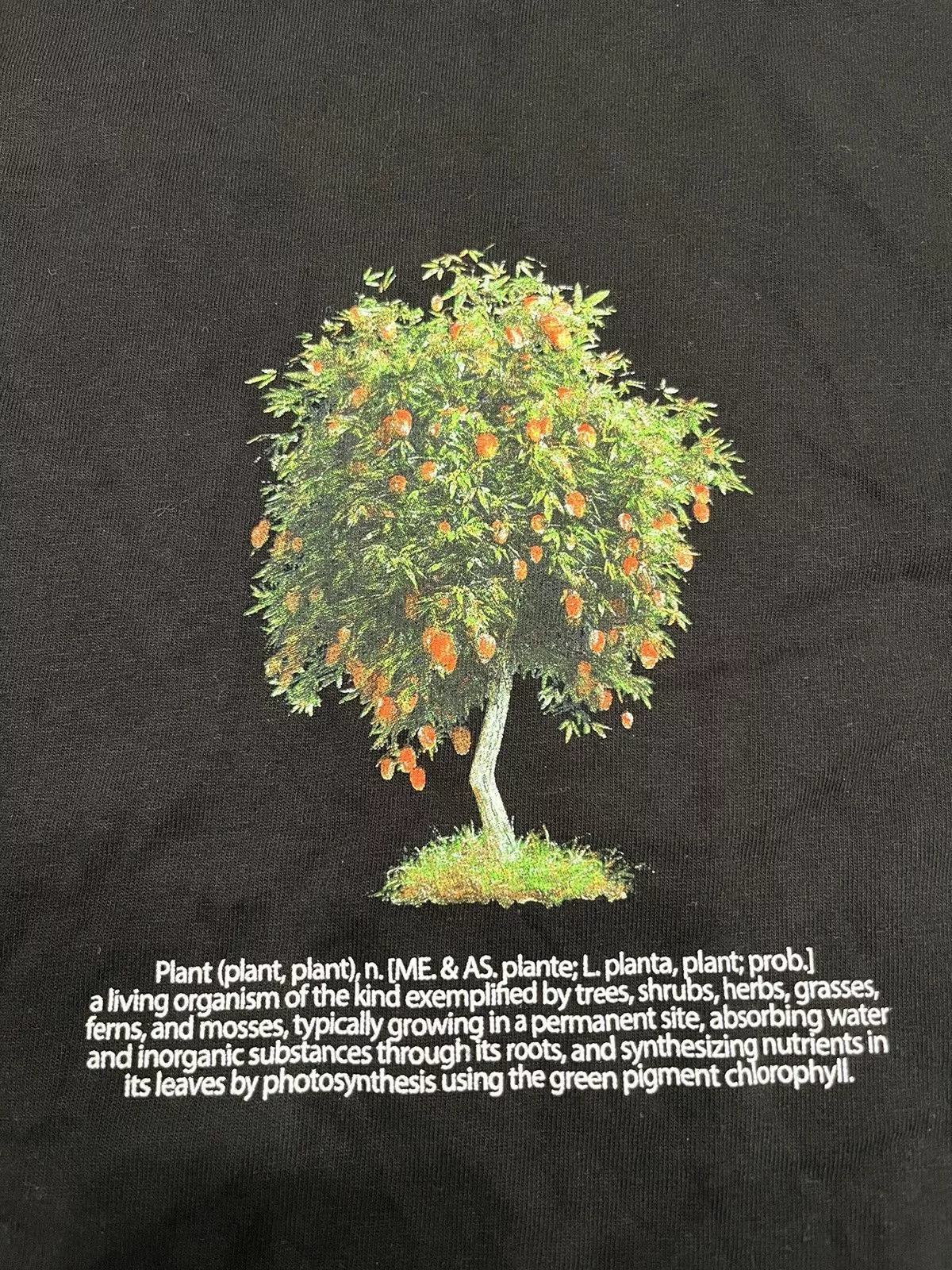 Complex Short Sleeve T Shirts ComplexCon Aplasticplant A Plastic Plant Tree T Shirt 2022 Black Streetwear