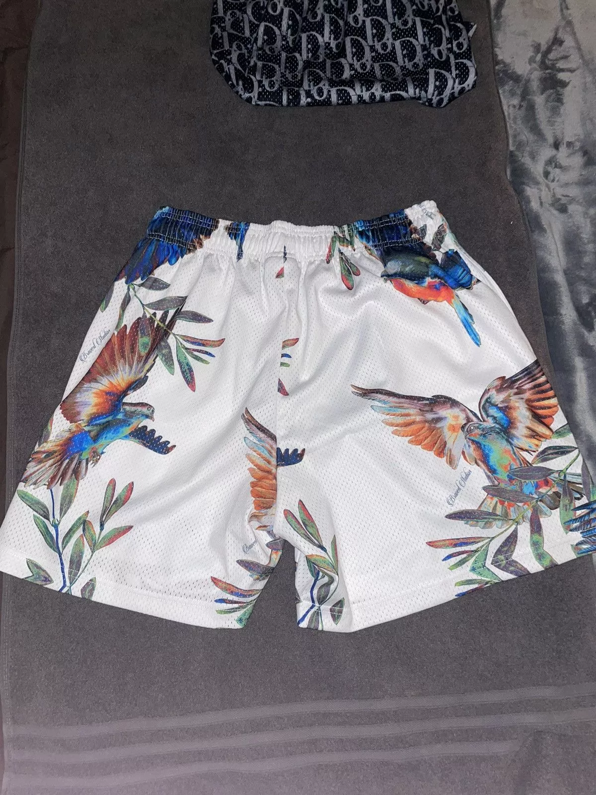 Bravest Studios Shorts Bravest Studios Paradise shorts Multi