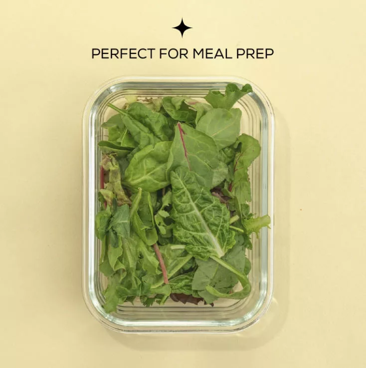 Glass Food Containers Airtight Lids 5/set Black
