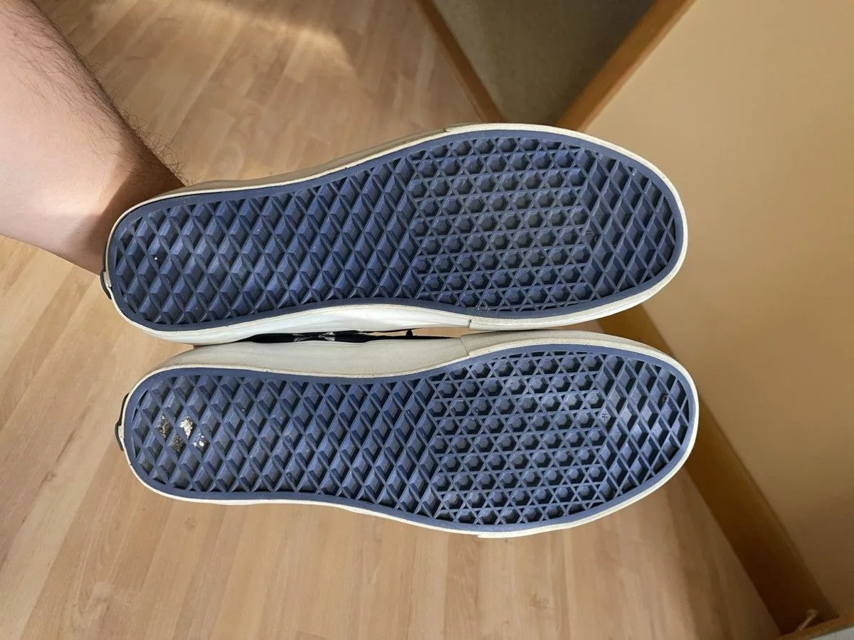 Vans Low Top Sneakers Vans × Wtaps Vans x Wtap Crossbones Blue