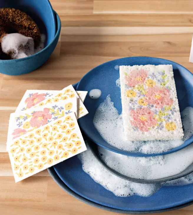 Sponge Pop Up Set/4 Full Bloom