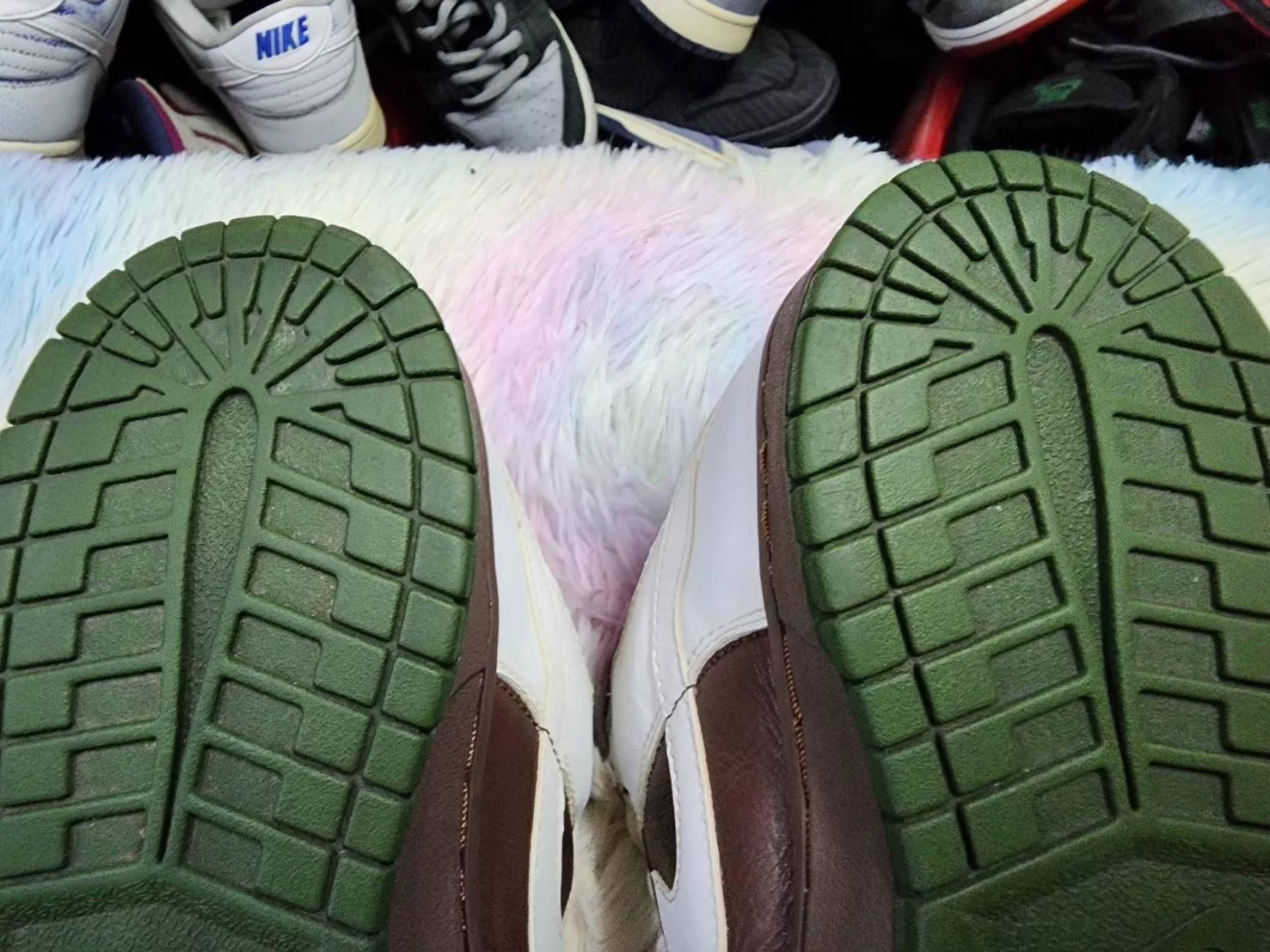 Nike Low Top Sneakers Nike Sb Dunk Low Oompa Loompa Multi