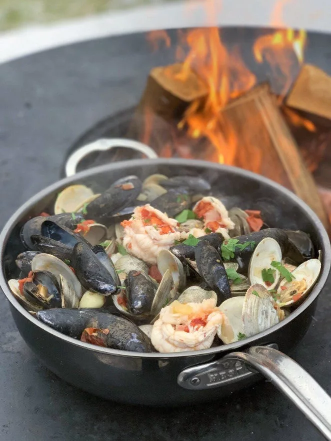 NanoBond 5qt Covered Essential Pan