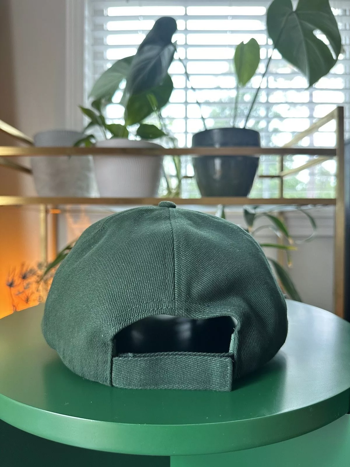 STILLZ Hats Stillz Bolex 6 Panel Green Hat