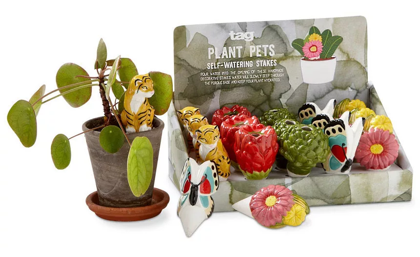 Multi Botanist Plant Pet