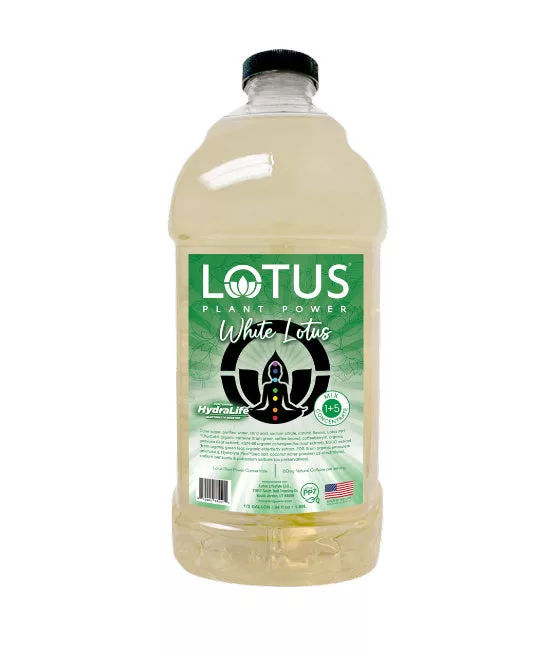 Lotus White 64 oz