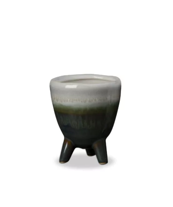 Multi Sprout Planter