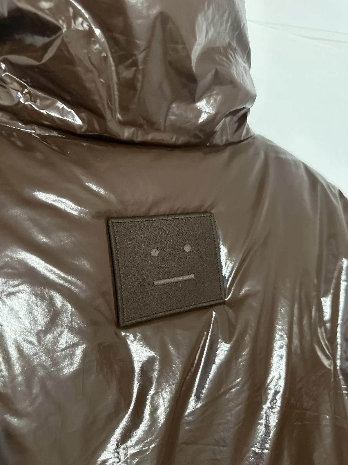 Acne Studios Light Jackets Acne Studios Brown Puffer Jacket 2021 « FACE » Collection