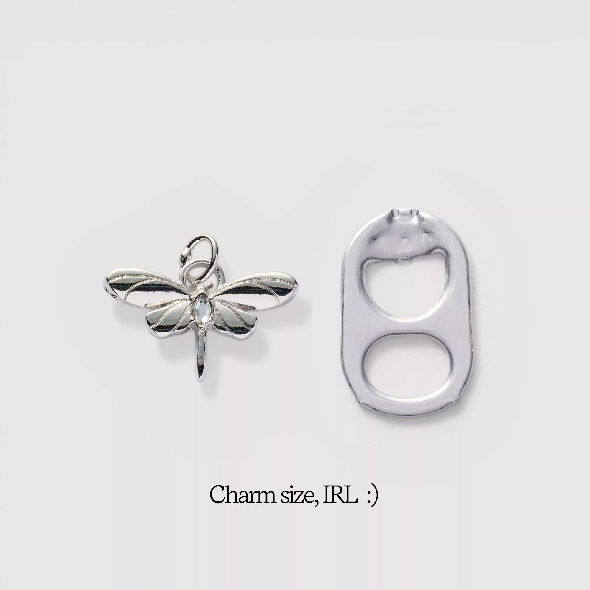 Guided Dragonfly Charm