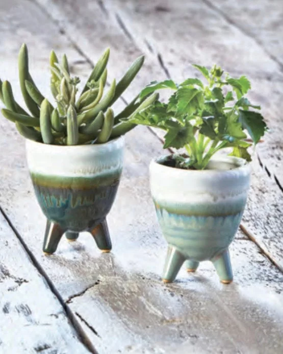 Multi Sprout Planter