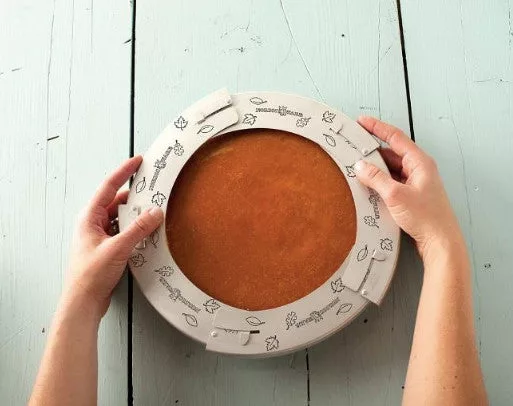 Folding Pie Shield