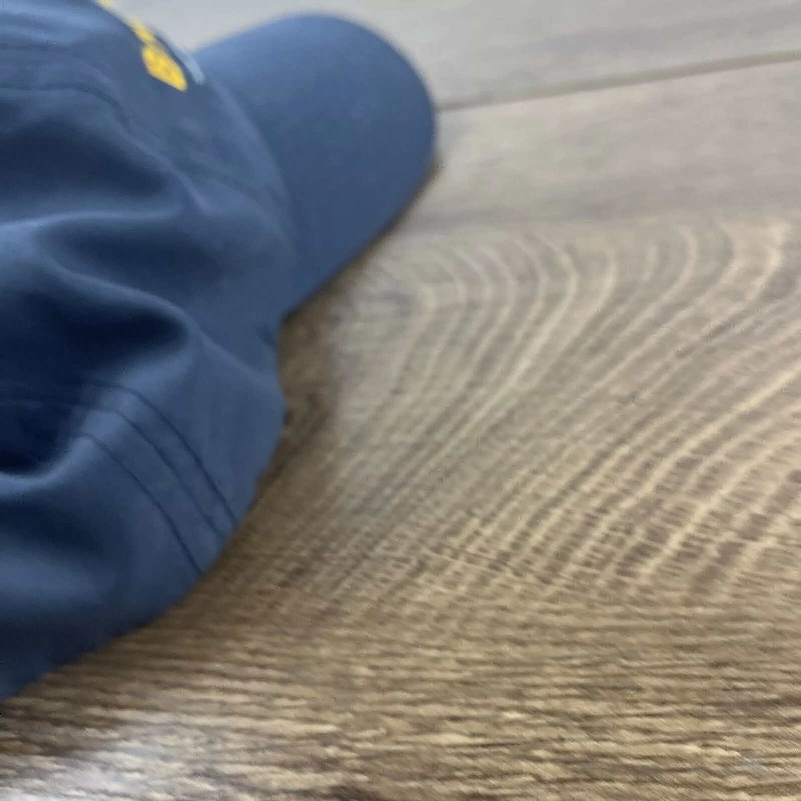 Other Hats Other BAMS UAS Hat Blue Hat Adjustable Adult Size Blue Hat Cap